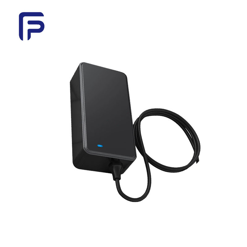 50Hz 60Hz Lithium Ion Battery Charger 12.6V 5A 29.2V 2A 42V 1.5A EV Charger